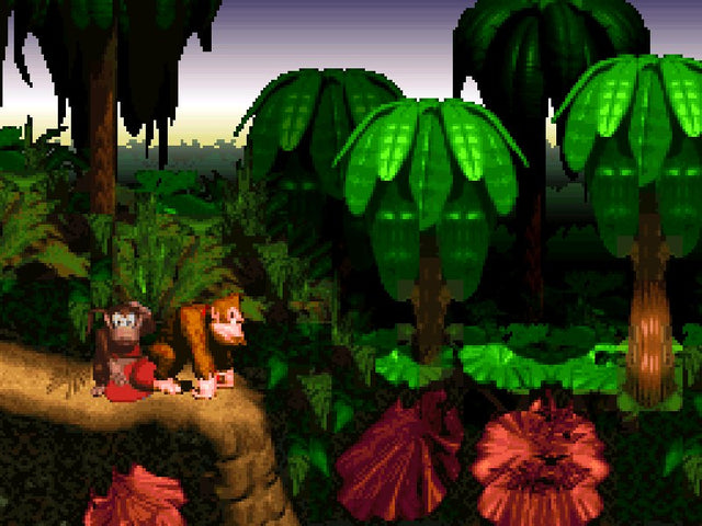 Donkey Kong Country